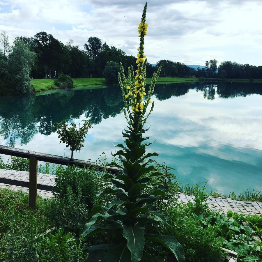 Heurigenbar Apartment Feldkirchen an der Donau Екстериор снимка